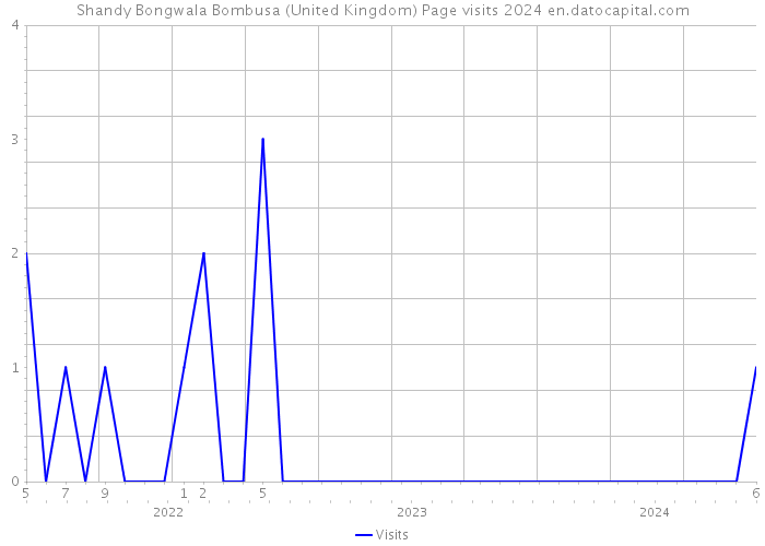 Shandy Bongwala Bombusa (United Kingdom) Page visits 2024 