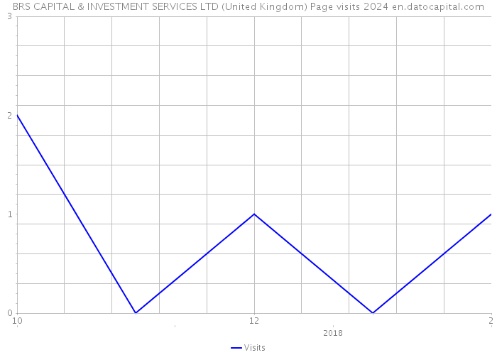 BRS CAPITAL & INVESTMENT SERVICES LTD (United Kingdom) Page visits 2024 