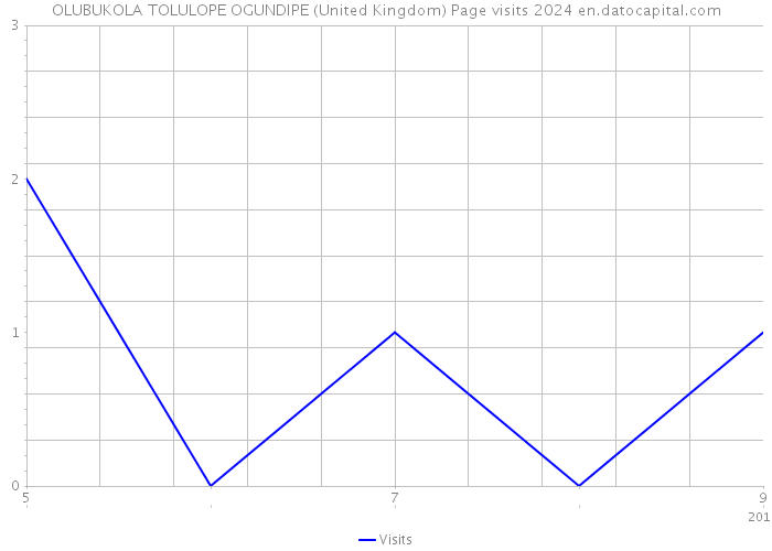 OLUBUKOLA TOLULOPE OGUNDIPE (United Kingdom) Page visits 2024 