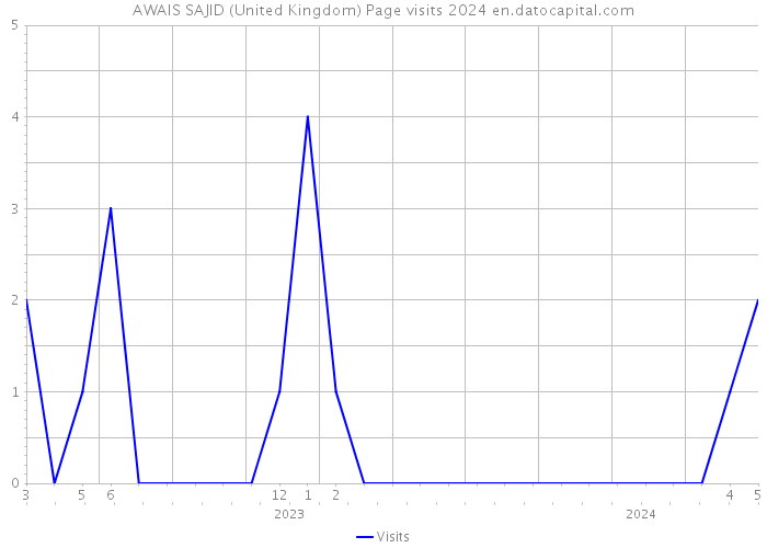 AWAIS SAJID (United Kingdom) Page visits 2024 