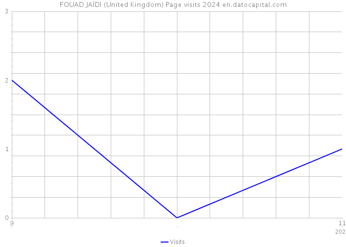 FOUAD JAÏDI (United Kingdom) Page visits 2024 