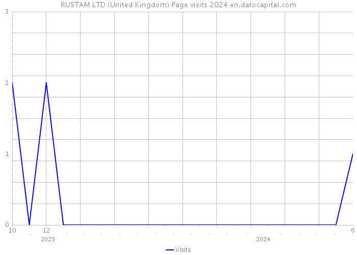 RUSTAM LTD (United Kingdom) Page visits 2024 