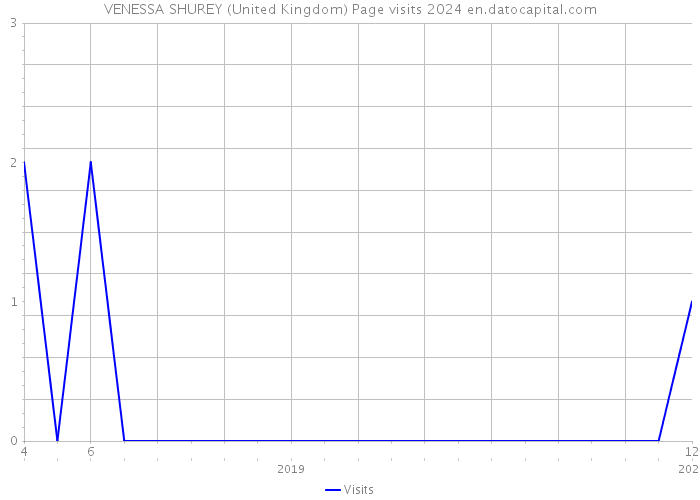 VENESSA SHUREY (United Kingdom) Page visits 2024 