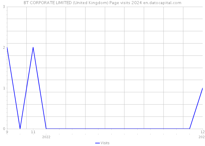 BT CORPORATE LIMITED (United Kingdom) Page visits 2024 