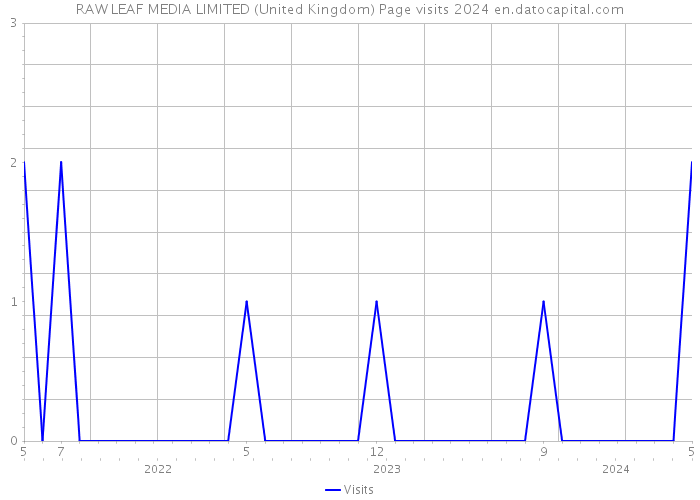 RAW LEAF MEDIA LIMITED (United Kingdom) Page visits 2024 