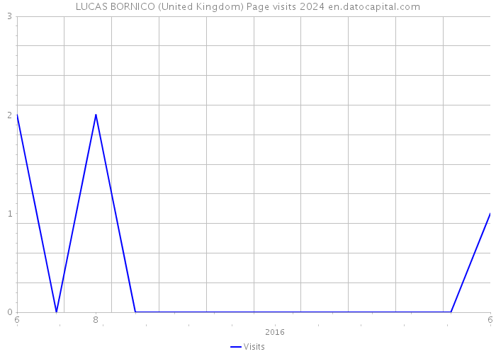 LUCAS BORNICO (United Kingdom) Page visits 2024 