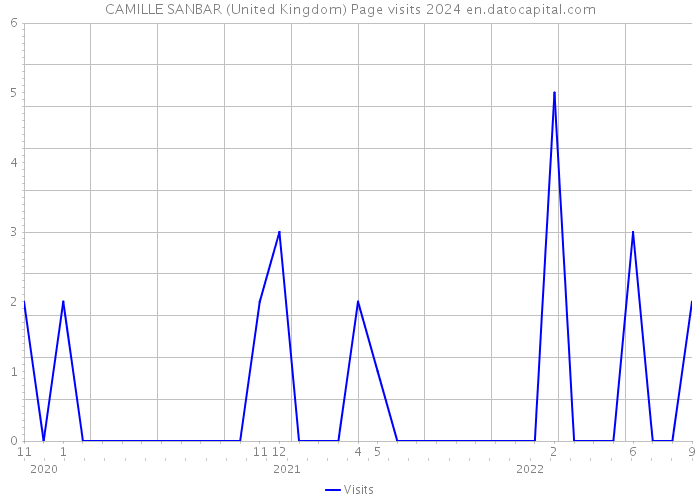 CAMILLE SANBAR (United Kingdom) Page visits 2024 