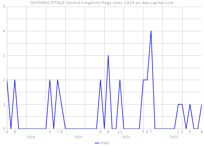 SHYAMAL PITALE (United Kingdom) Page visits 2024 