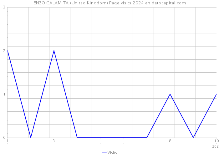 ENZO CALAMITA (United Kingdom) Page visits 2024 