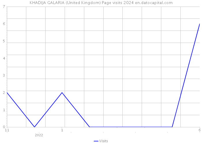 KHADIJA GALARIA (United Kingdom) Page visits 2024 
