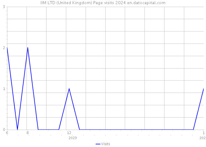 IIM LTD (United Kingdom) Page visits 2024 
