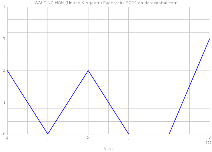 WAI TING HON (United Kingdom) Page visits 2024 