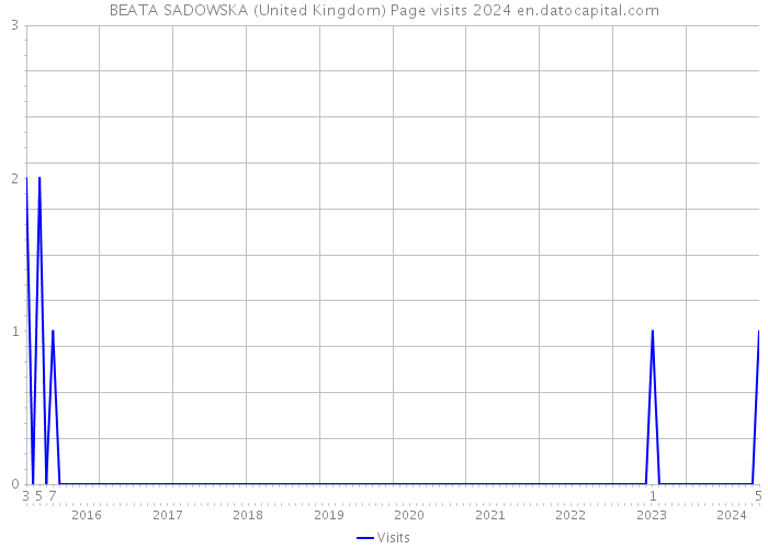 BEATA SADOWSKA (United Kingdom) Page visits 2024 