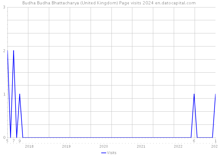 Budha Budha Bhattacharya (United Kingdom) Page visits 2024 