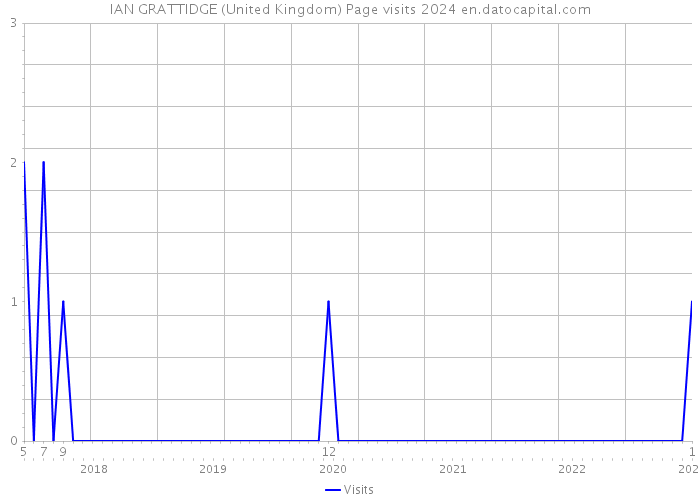 IAN GRATTIDGE (United Kingdom) Page visits 2024 
