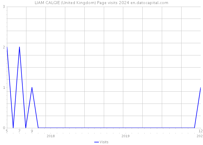LIAM CALGIE (United Kingdom) Page visits 2024 