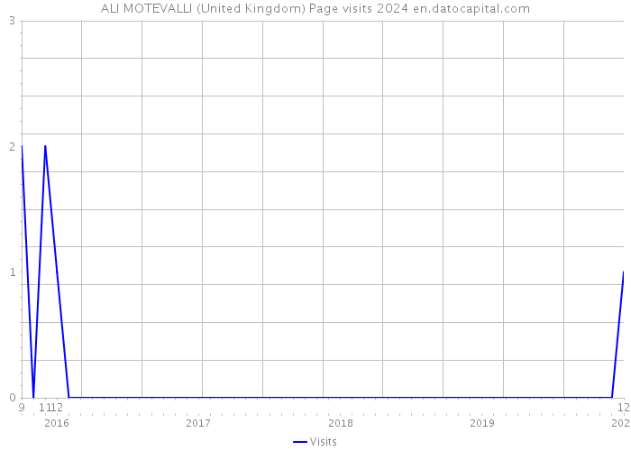 ALI MOTEVALLI (United Kingdom) Page visits 2024 