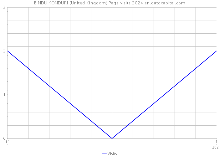 BINDU KONDURI (United Kingdom) Page visits 2024 