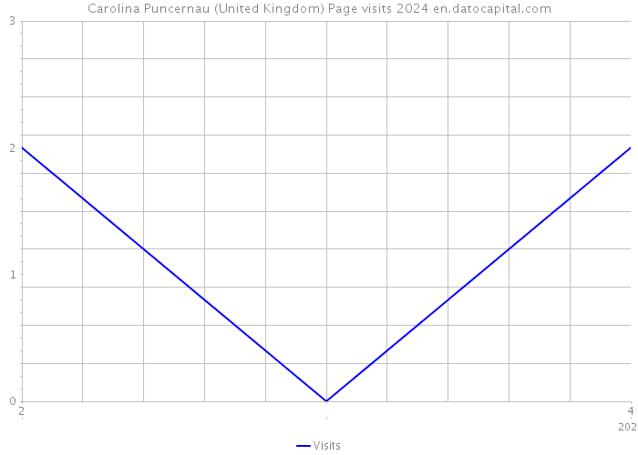 Carolina Puncernau (United Kingdom) Page visits 2024 