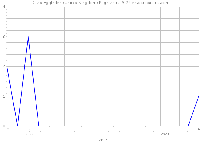 David Eggleden (United Kingdom) Page visits 2024 