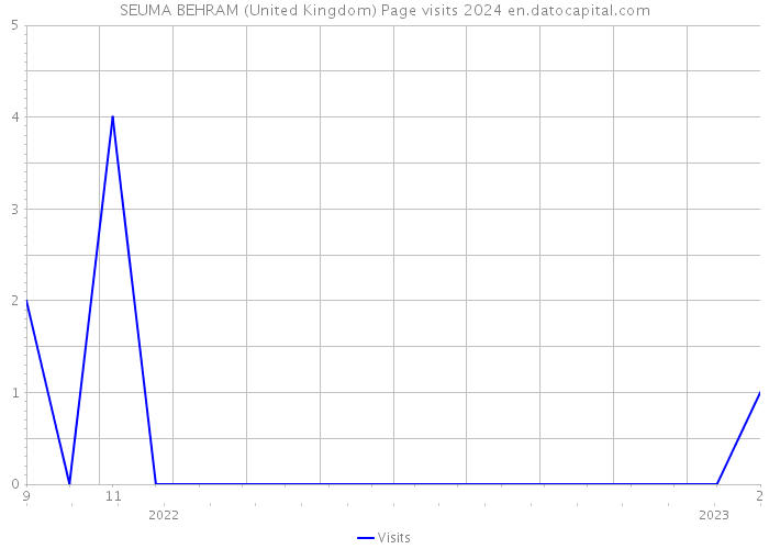 SEUMA BEHRAM (United Kingdom) Page visits 2024 