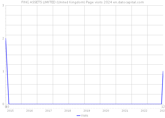 FING ASSETS LIMITED (United Kingdom) Page visits 2024 