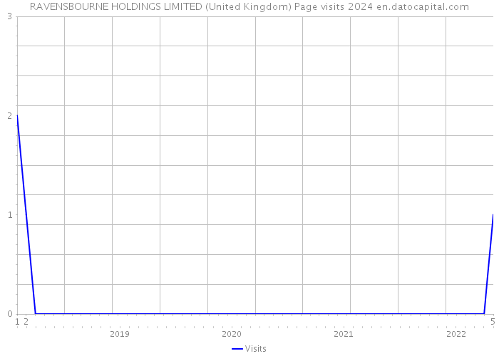 RAVENSBOURNE HOLDINGS LIMITED (United Kingdom) Page visits 2024 