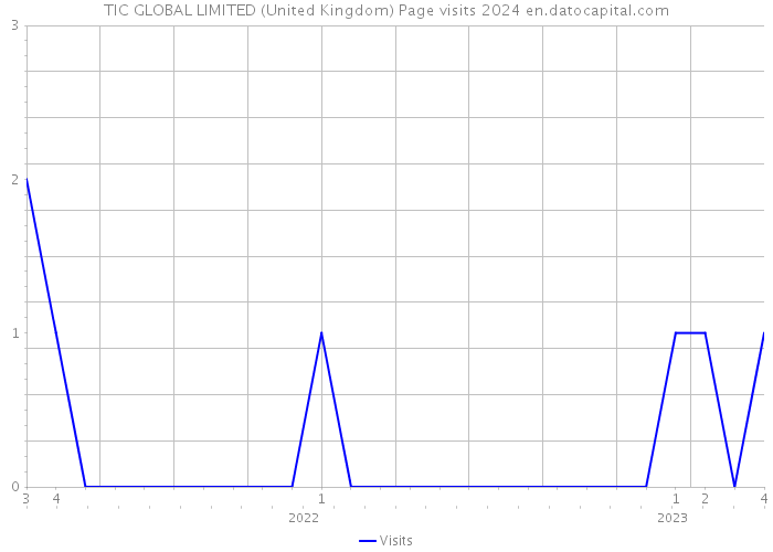 TIC GLOBAL LIMITED (United Kingdom) Page visits 2024 