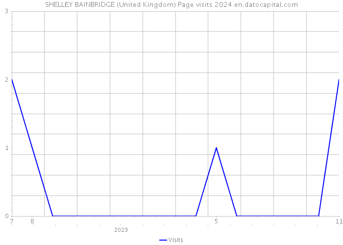 SHELLEY BAINBRIDGE (United Kingdom) Page visits 2024 