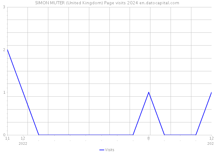 SIMON MUTER (United Kingdom) Page visits 2024 