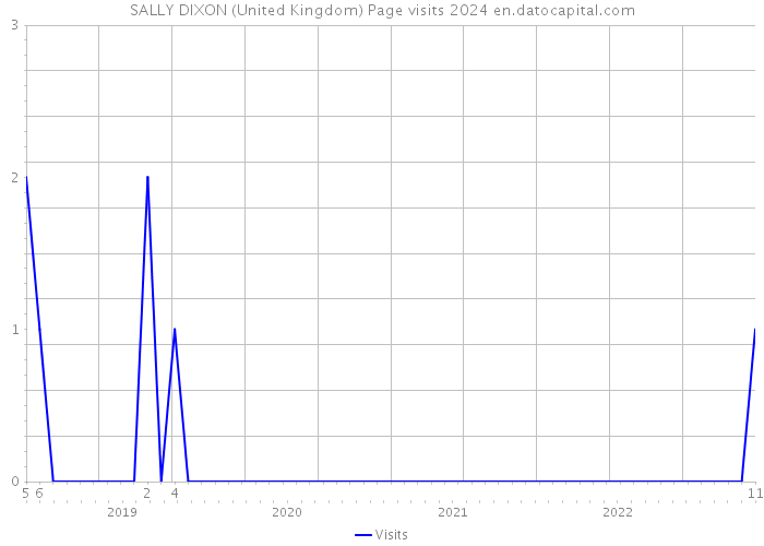 SALLY DIXON (United Kingdom) Page visits 2024 