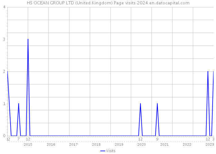 HS OCEAN GROUP LTD (United Kingdom) Page visits 2024 
