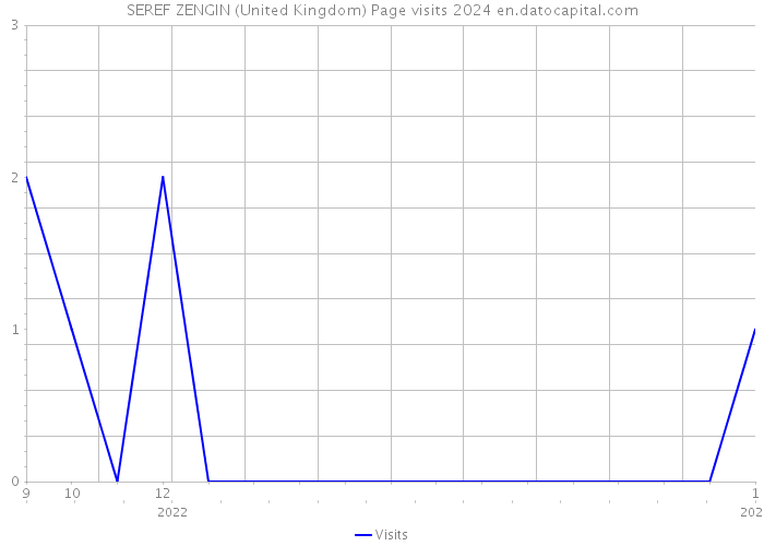 SEREF ZENGIN (United Kingdom) Page visits 2024 