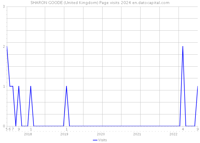 SHARON GOODE (United Kingdom) Page visits 2024 