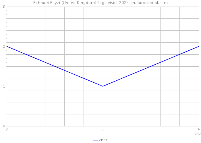 Behnam Fayzi (United Kingdom) Page visits 2024 