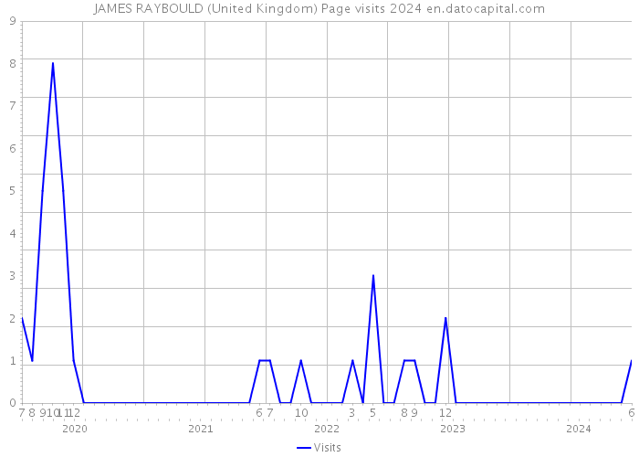 JAMES RAYBOULD (United Kingdom) Page visits 2024 
