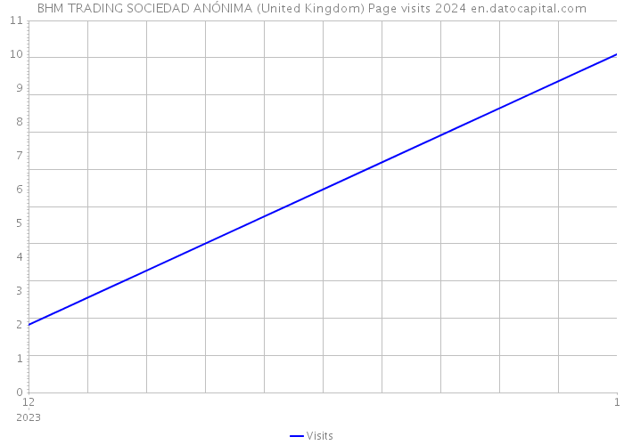 BHM TRADING SOCIEDAD ANÓNIMA (United Kingdom) Page visits 2024 