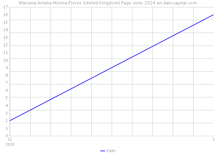 Mariana Amalia Molina Flores (United Kingdom) Page visits 2024 