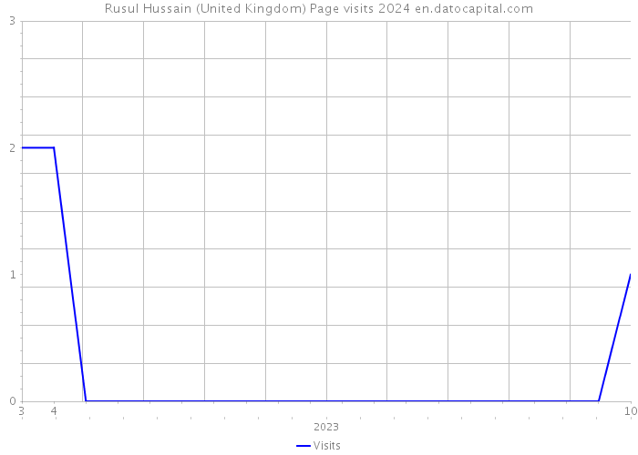Rusul Hussain (United Kingdom) Page visits 2024 