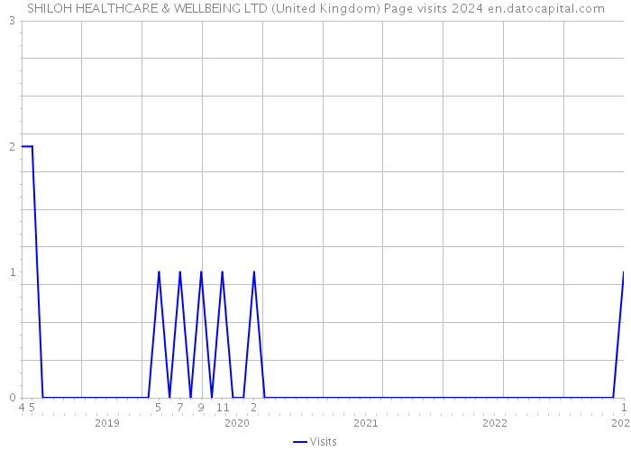 SHILOH HEALTHCARE & WELLBEING LTD (United Kingdom) Page visits 2024 