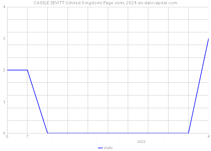 CASSLE SEVITT (United Kingdom) Page visits 2024 