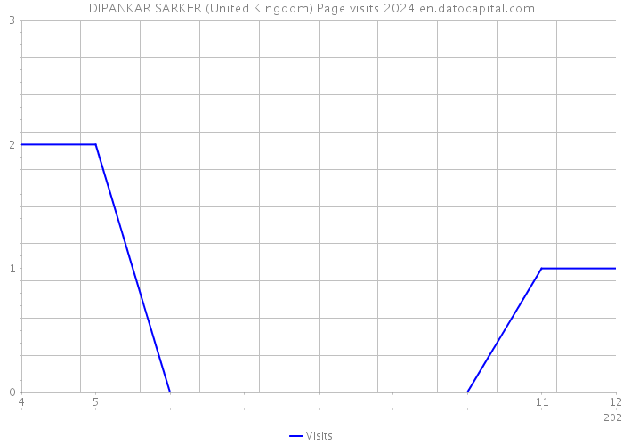 DIPANKAR SARKER (United Kingdom) Page visits 2024 