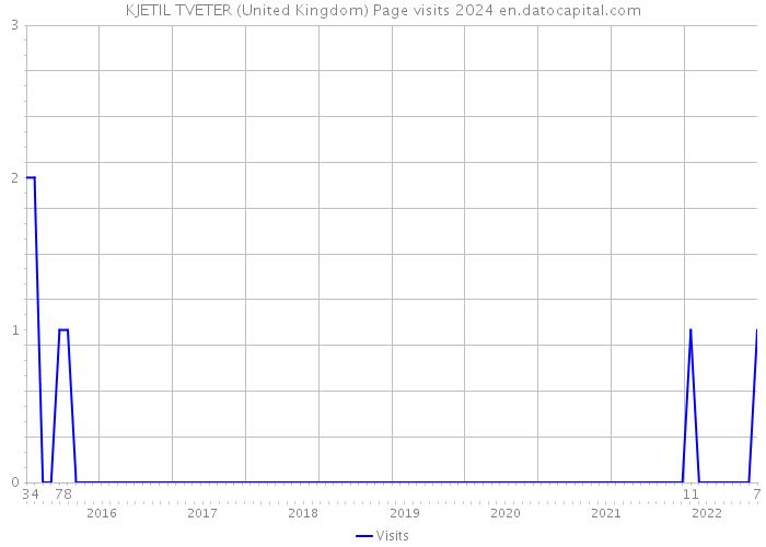 KJETIL TVETER (United Kingdom) Page visits 2024 