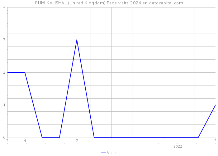 RUHI KAUSHAL (United Kingdom) Page visits 2024 