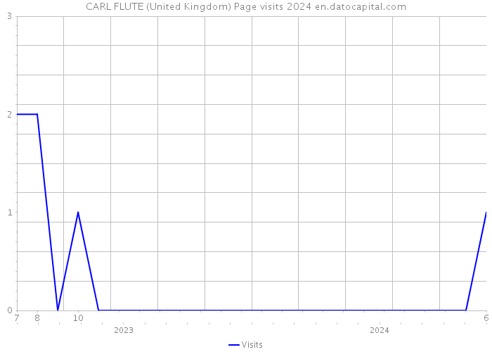 CARL FLUTE (United Kingdom) Page visits 2024 