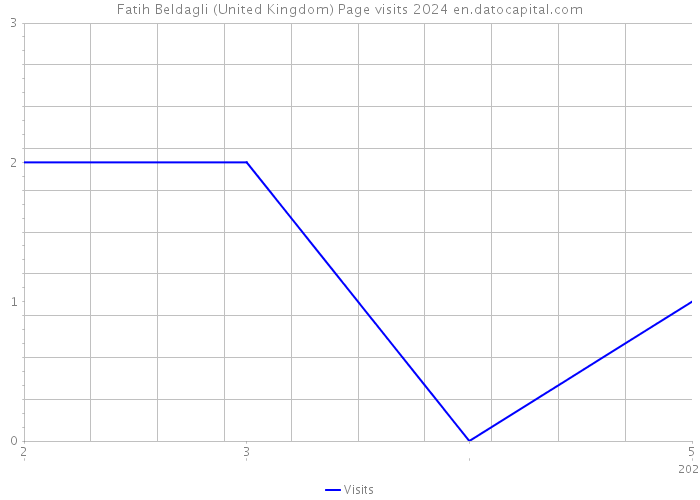 Fatih Beldagli (United Kingdom) Page visits 2024 