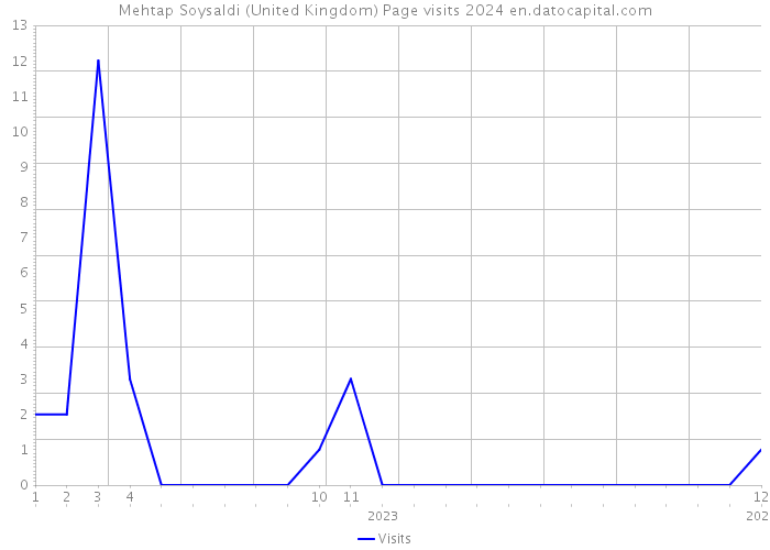 Mehtap Soysaldi (United Kingdom) Page visits 2024 
