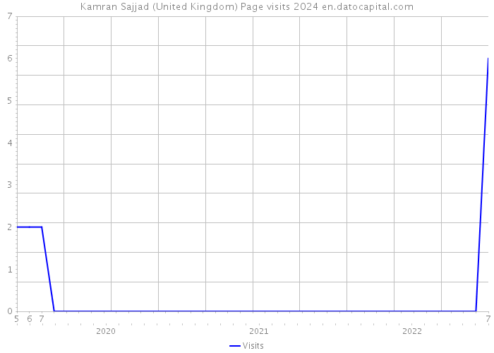Kamran Sajjad (United Kingdom) Page visits 2024 