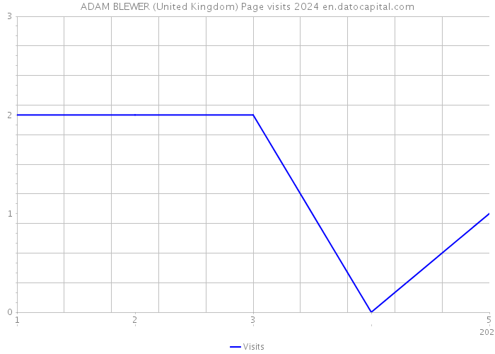 ADAM BLEWER (United Kingdom) Page visits 2024 