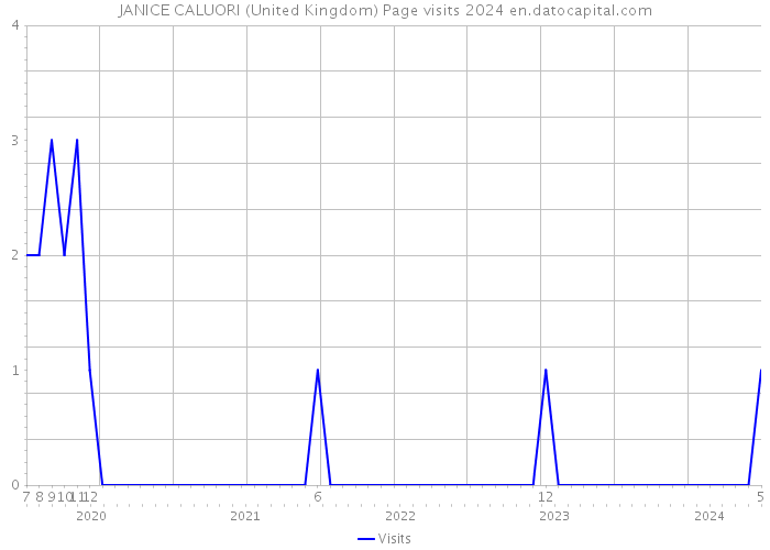 JANICE CALUORI (United Kingdom) Page visits 2024 